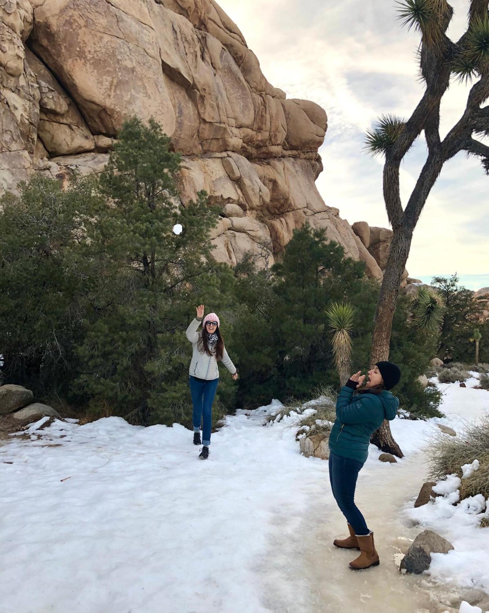 Cozy Desert Retreat With Amazing Views Only 4 Miles To Jtnp Joshua Tree Exteriör bild